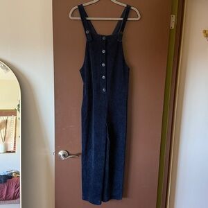 Madewell Texture & Thread Blue Corduroy Jumpsuit
